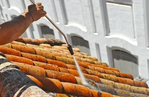 Nettoyage de toitures - Roissy-en-Brie